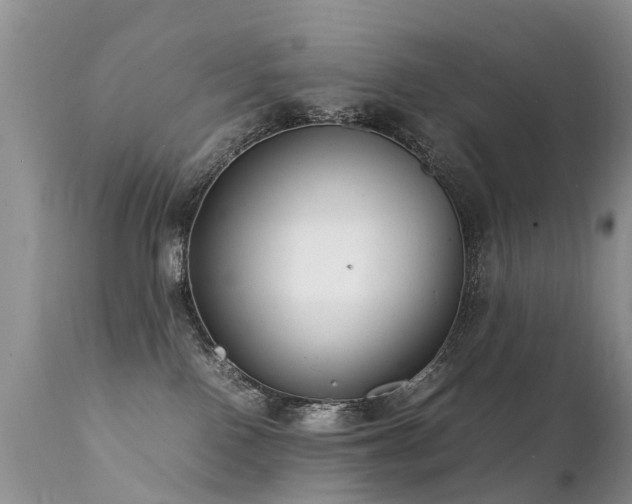 X0000112110090200908111452