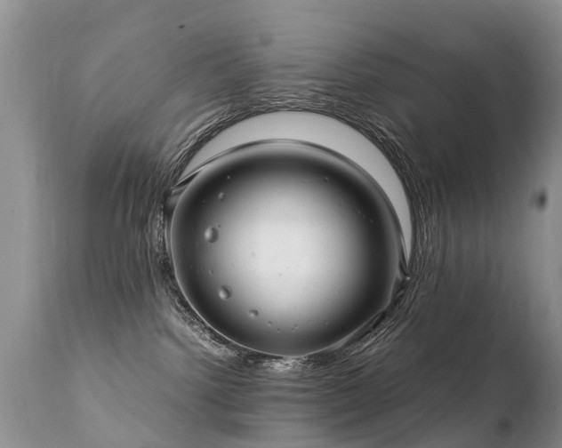 X0000112110092200908111452