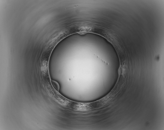 X0000112110093200908111452