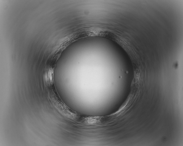 X0000112110094200908111452