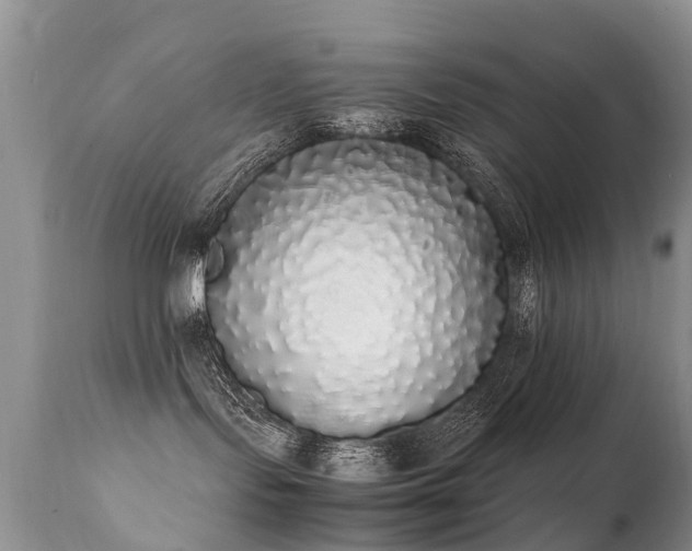 X0000112110095200908111452