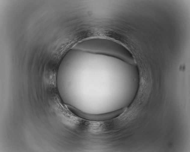 X0000112110096200908111452