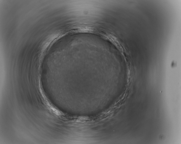 X0000112110097200908111452