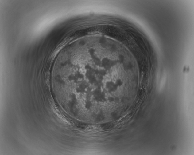 X0000112110099200908111452