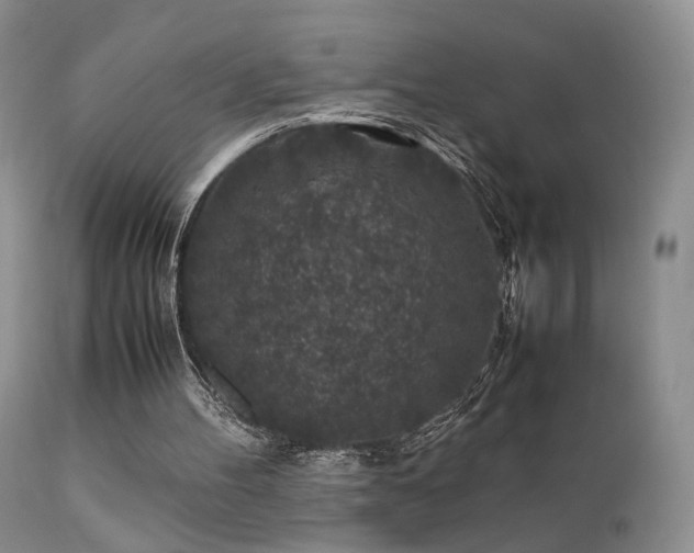 X0000112110100200908111452