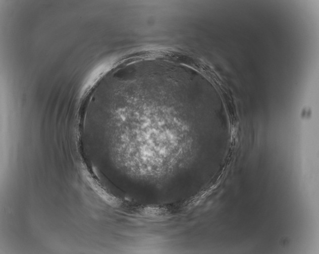 X0000112110101200908111451