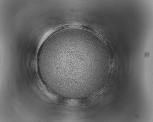 X0000112110102200908111451