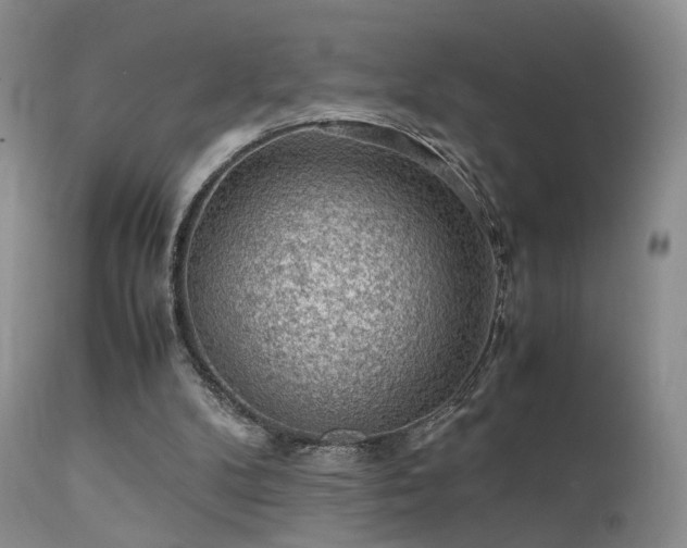 X0000112110104200908111451