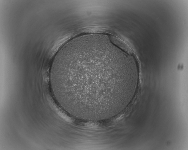 X0000112110105200908111451