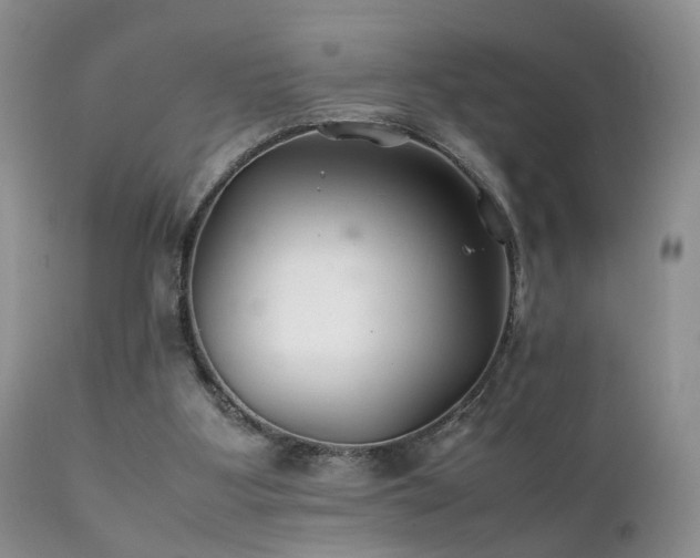 X0000112110107200908111451