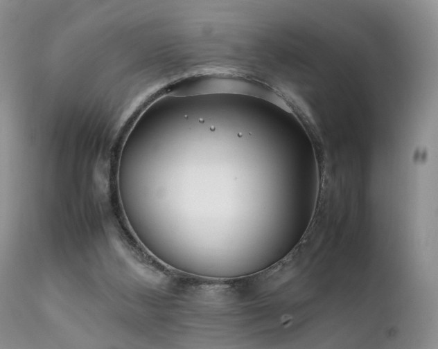 X0000112110108200908111451