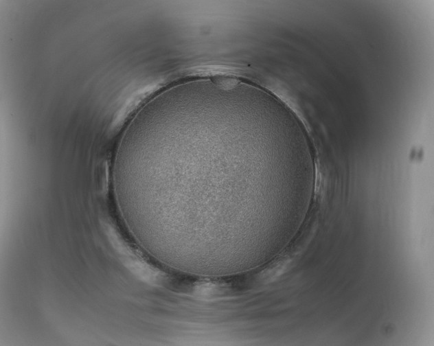 X0000112110109200908111451