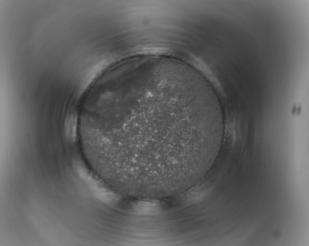 X0000112110110200908111451