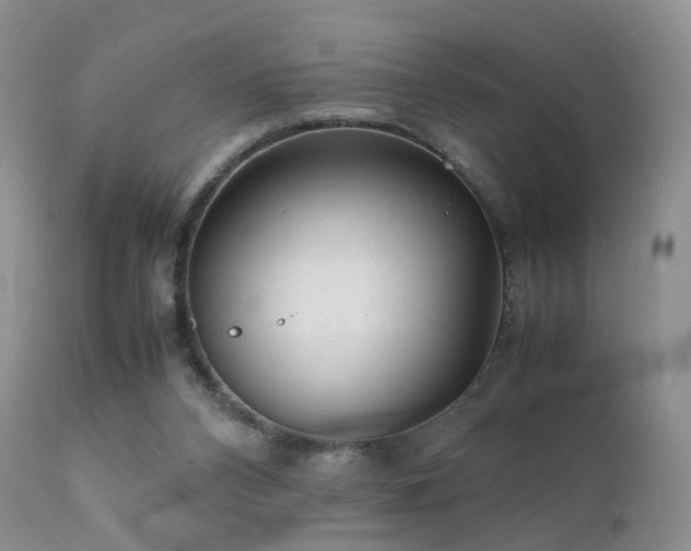 X0000112110112200908111451