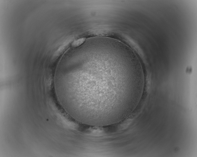 X0000112110113200908111451