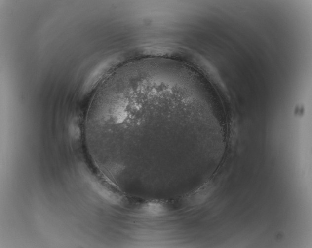 X0000112110114200908111451