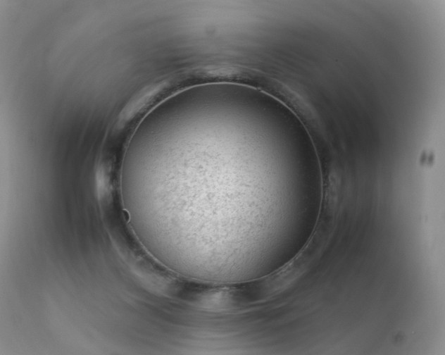 X0000112110116200908111451