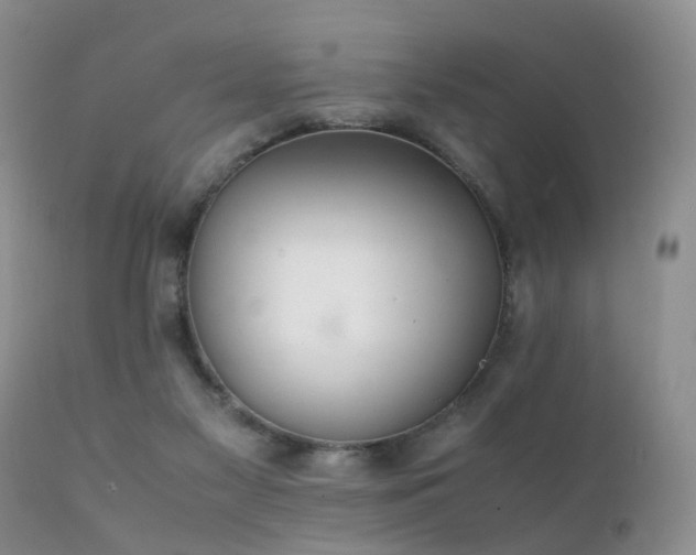 X0000112110117200908111451