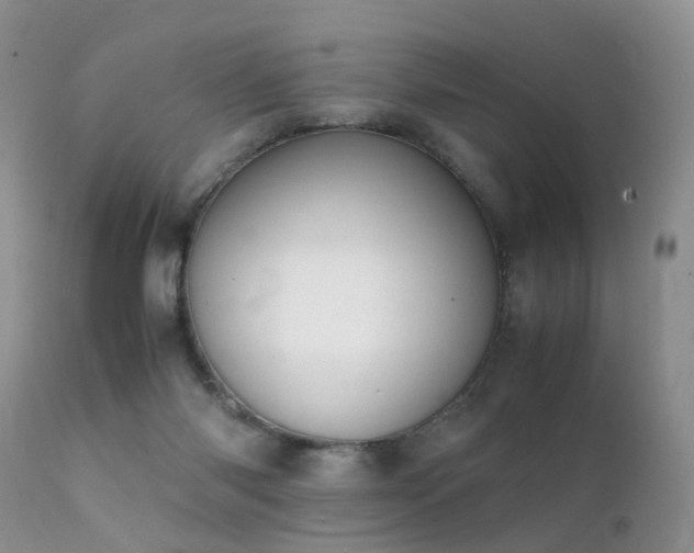 X0000112110118200908111451