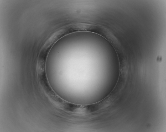 X0000112110119200908111451