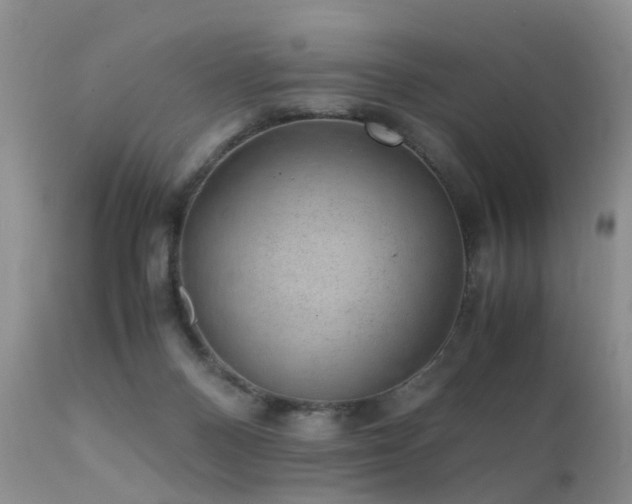 X0000112110120200908111451