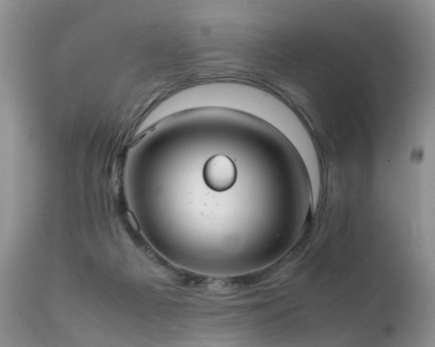 X0000112110121200908111451