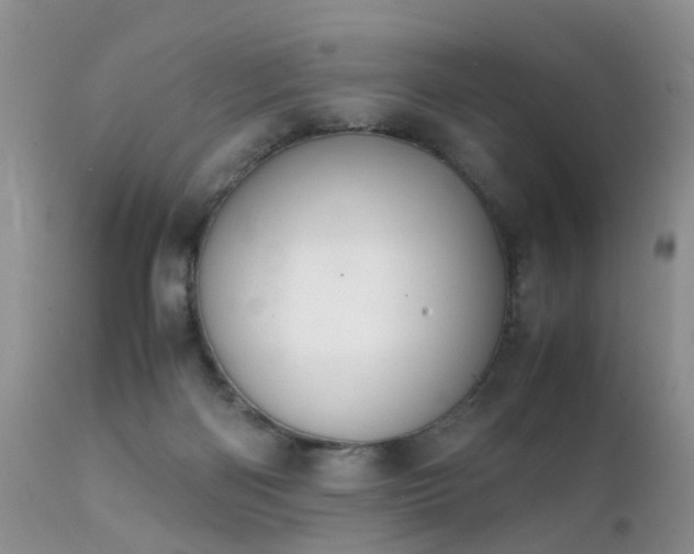 X0000112110122200908111451