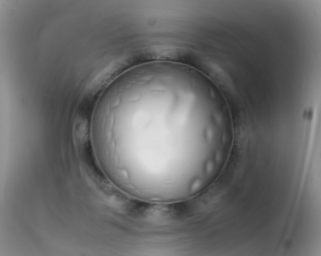 X0000112110123200908111451