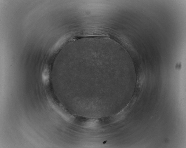 X0000112110124200908111451