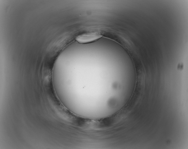 X0000112110125200908111451