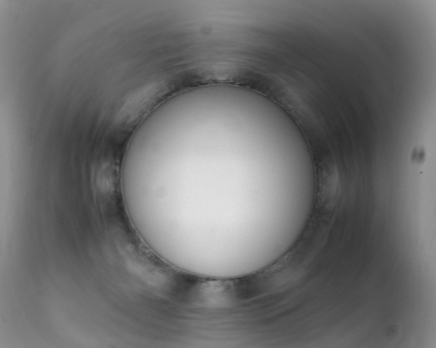 X0000112110126200908111451