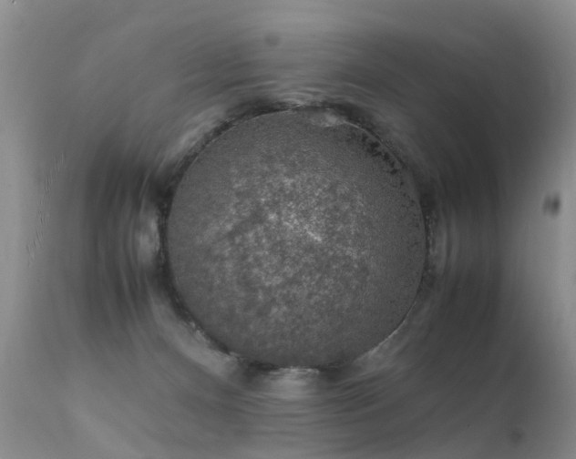 X0000112110128200908111451