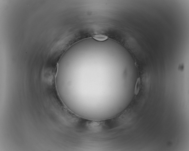 X0000112110129200908111451