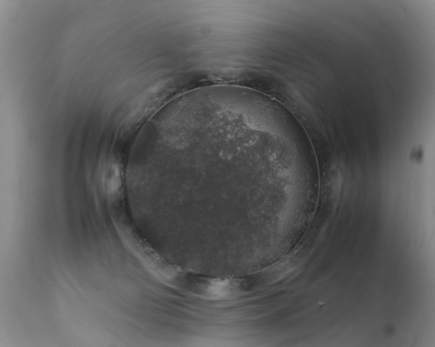 X0000112110130200908111451