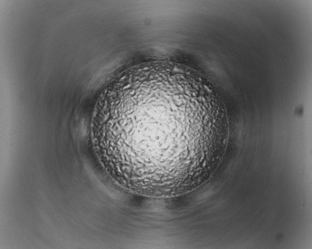 X0000112110131200908111451