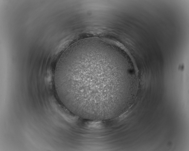 X0000112110132200908111451