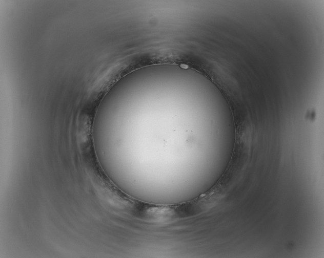 X0000112110133200908111451