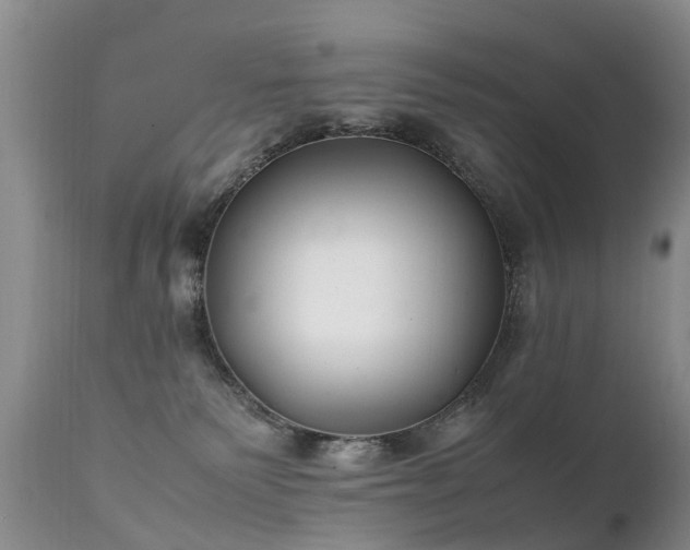 X0000112110135200908111451