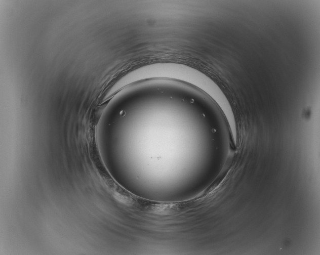 X0000112110136200908111451