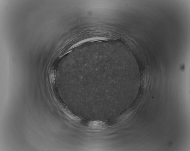 X0000112110137200908111451