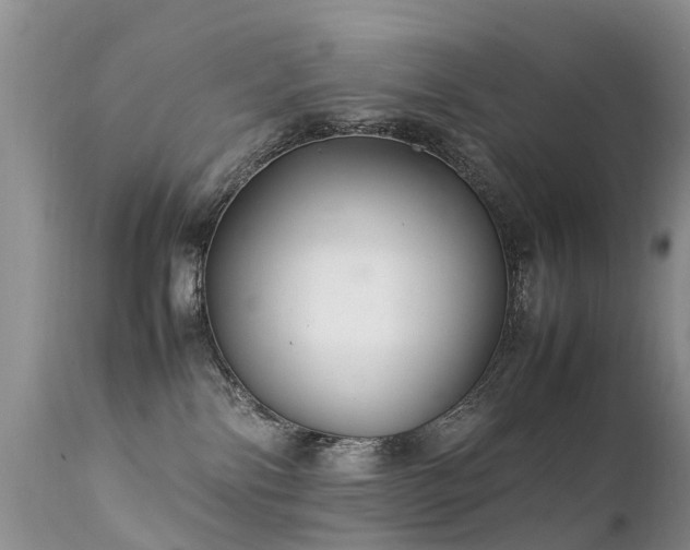 X0000112110138200908111451