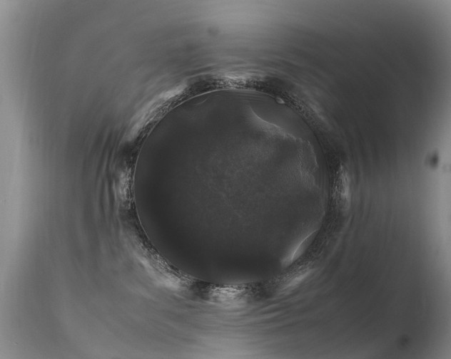 X0000112110139200908111451