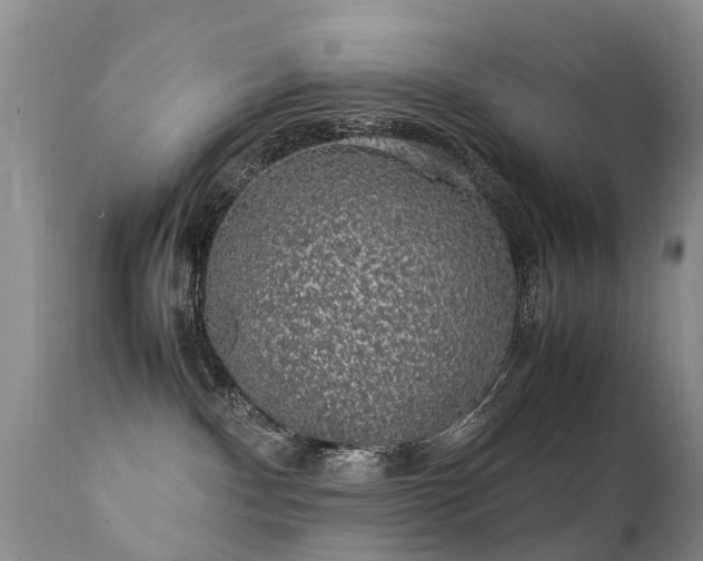 X0000112110140200908111451