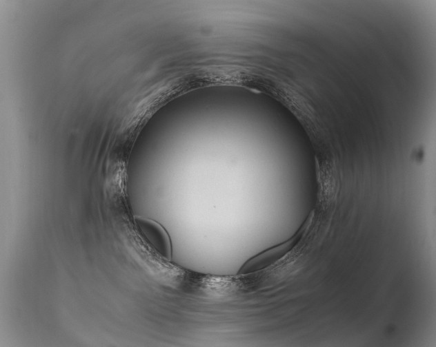 X0000112110141200908111451