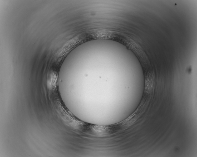 X0000112110142200908111451