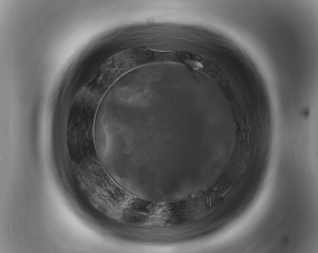 X0000112110143200908111451