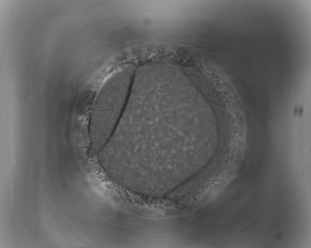 X0000112110144200908111451