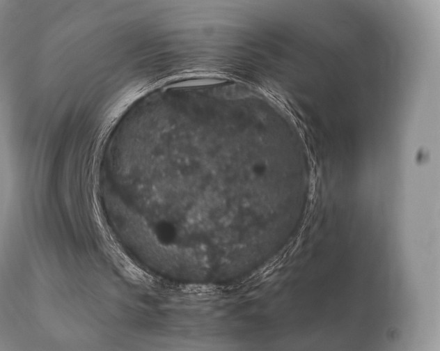 X0000112110145200908111450