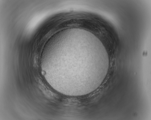 X0000112110146200908111450