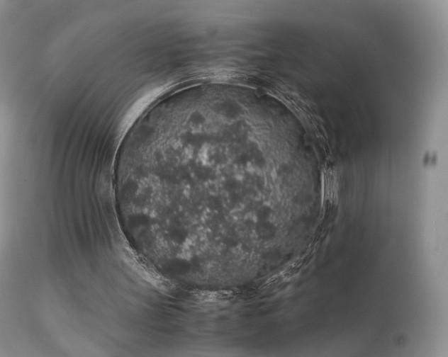 X0000112110147200908111450